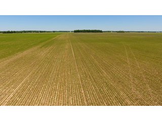 Property photo 19 - LAND AUCTION - 472+/- ACRES IN 7 TRACTS IN GRANT COUNTY, INDIANA